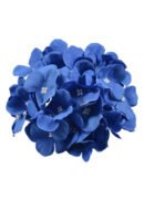 A pack of 50 vibrant 6.69'' hydrangea flower heads with stems features delicate blue petals and small white centers, standing out beautifully against a plain white background.