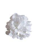 The 6.69'' Hydrangea Flower Head With Stems Pack Of 50 showcases delicate white petals beautifully displayed against a plain white background.