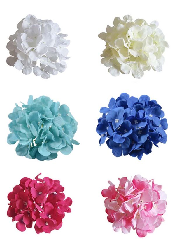 hydrangea