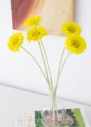 Daisies
