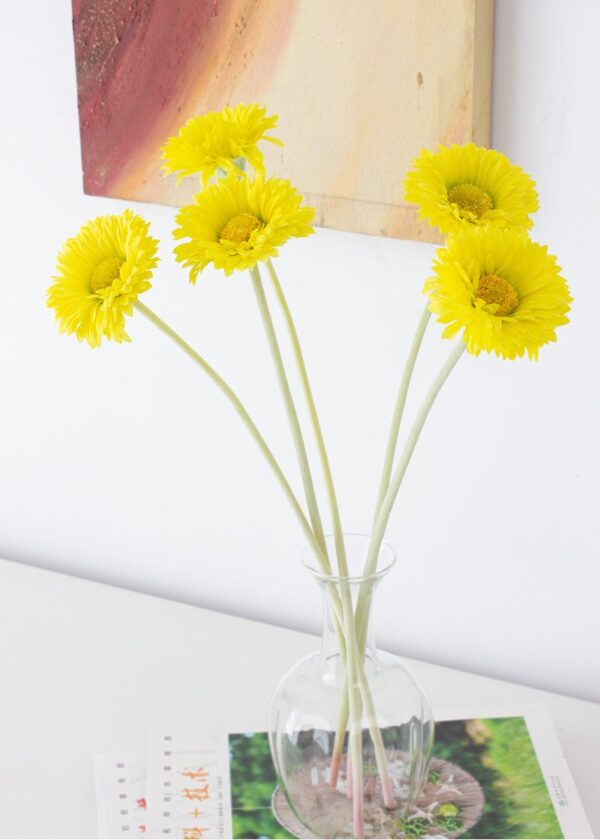 Daisies