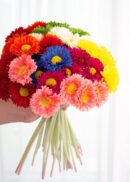 A hand holds a Pack of 10 Real Touch Gerbera Daisies in navy blue, each 17" tall, set against a softly lit white background.