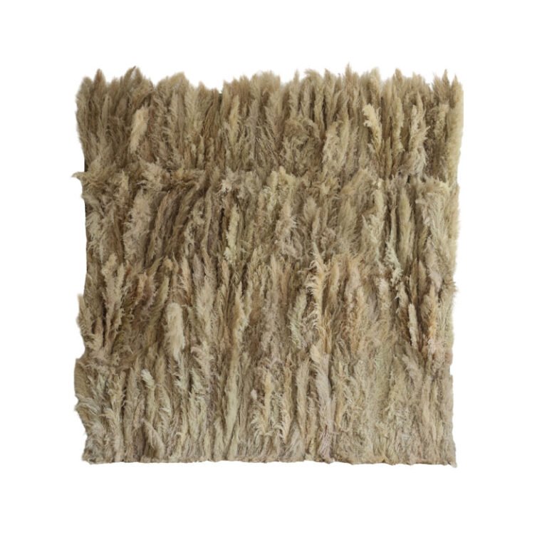 A square arrangement of light brown, feathery pampas grass stems, densely packed and displayed upright on a white background.