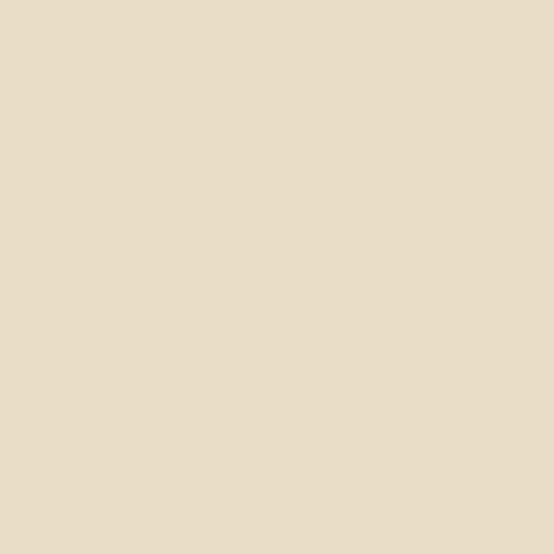 A plain, solid light beige background with no visible objects, patterns, or text.