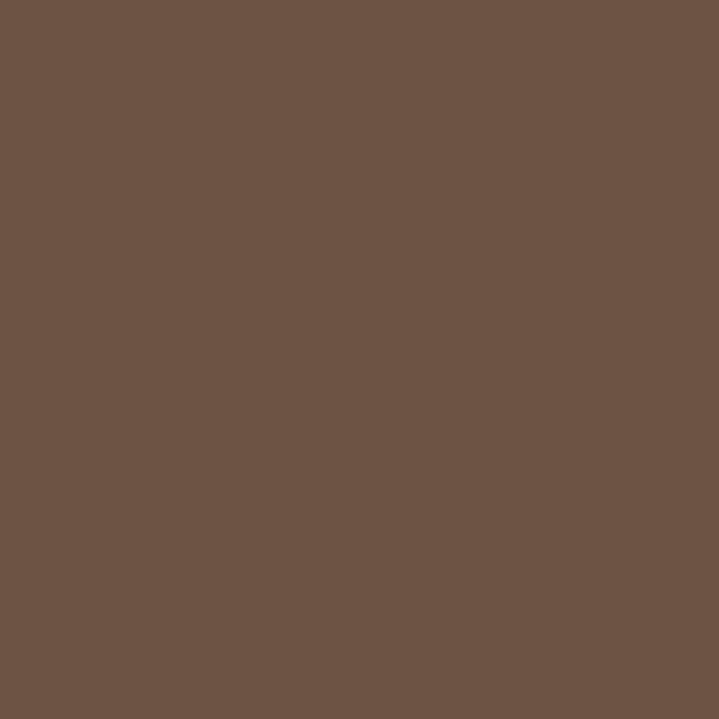 A solid rectangle filled with a rich brown color, with no visible patterns or objects.