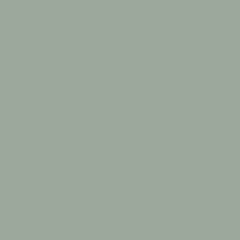 A flat, solid background filled with a pale mint green color. There are no visible objects, patterns, or text.