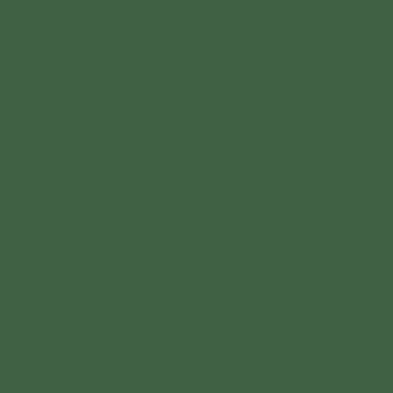 A solid, uniform forest green rectangle with no visible patterns, objects, or text.
