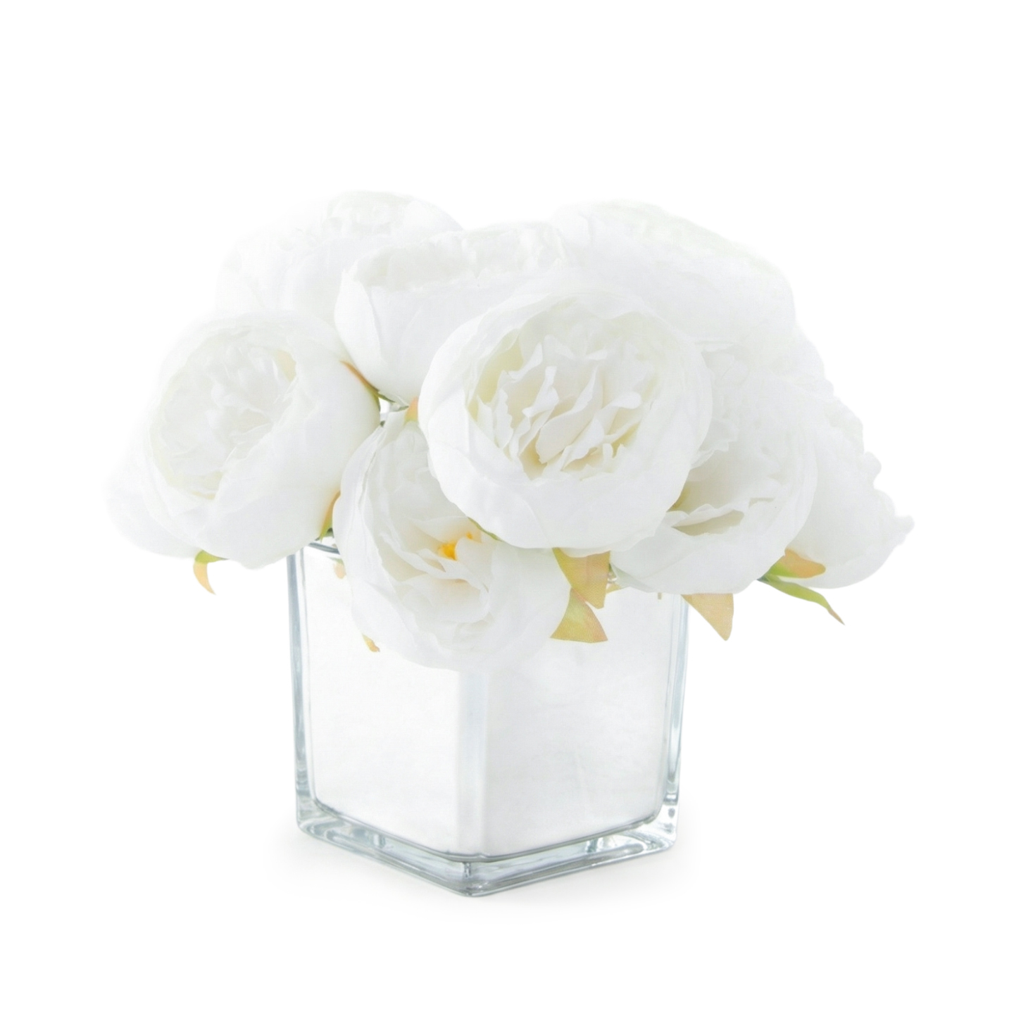 A clear glass vase filled with several white peony flowers, arranged closely together, against a white background.